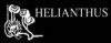Floristeria Helianthus