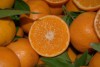 Las mandarinas y naranjas en nuestra cocina